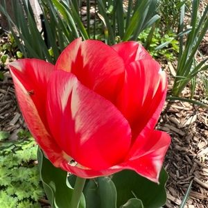 Meet your Posher, Daniele